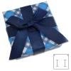 Anhänger Etuis|Ohrring Etuis|Elfen Schmuck Schmucketui blau kariert mit Schleife 55 x 55 x 28 mm